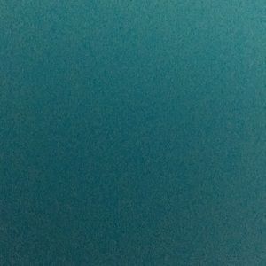 Meet your Posher, Rhonda